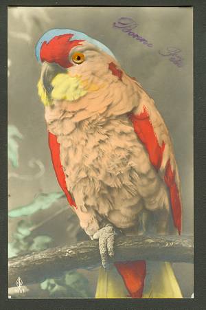 an170big.jpg (19399 bytes)