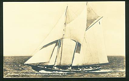 tr135big.jpg (15473 bytes)